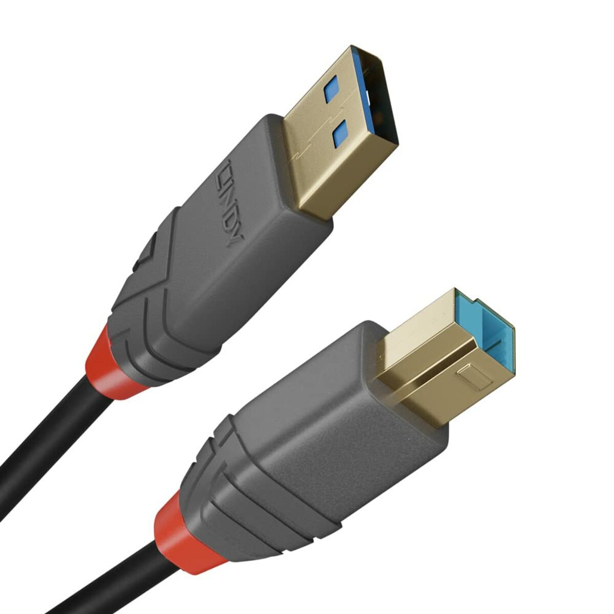 USB A til USB B-kabel LINDY 2 m Sort